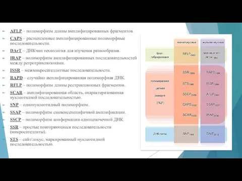 AFLP – полиморфизм длины амплифицированных фрагментов. CAPS – расщепленные амплифицированные