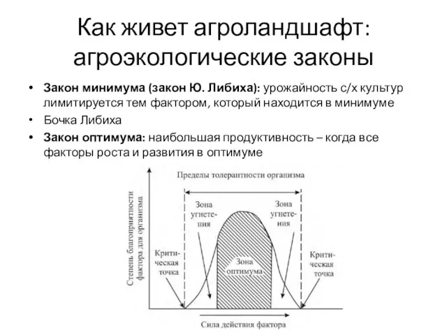 Закон минимума (закон Ю. Либиха): урожайность с/х культур лимитируется тем