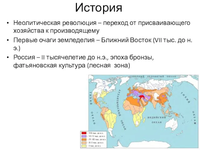 История Неолитическая революция – переход от присваивающего хозяйства к производящему