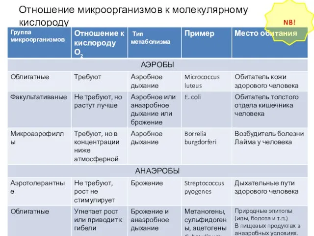 Отношение микроорганизмов к молекулярному кислороду NB!