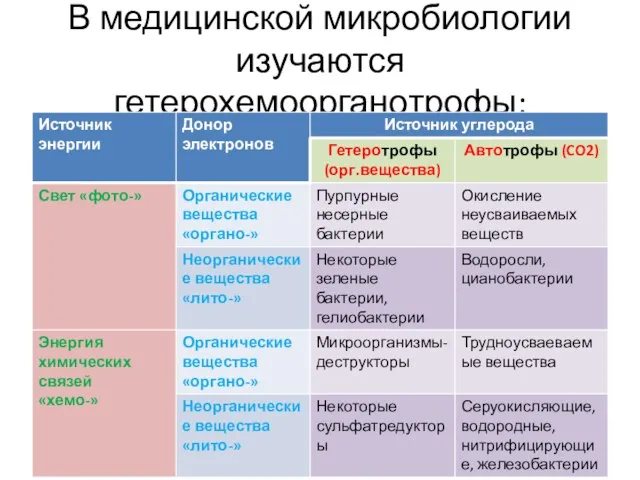 В медицинской микробиологии изучаются гетерохемоорганотрофы: