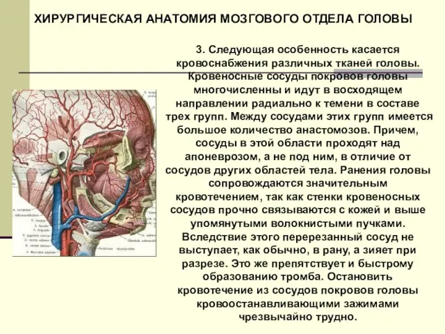 3. Следующая особенность касается кровоснабжения различных тканей головы. Кровеносные сосуды покровов головы многочисленны