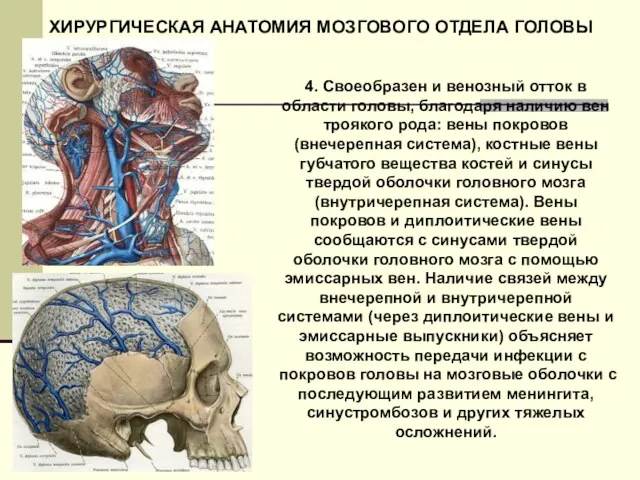 4. Своеобразен и венозный отток в области головы, благодаря наличию вен троякого рода: