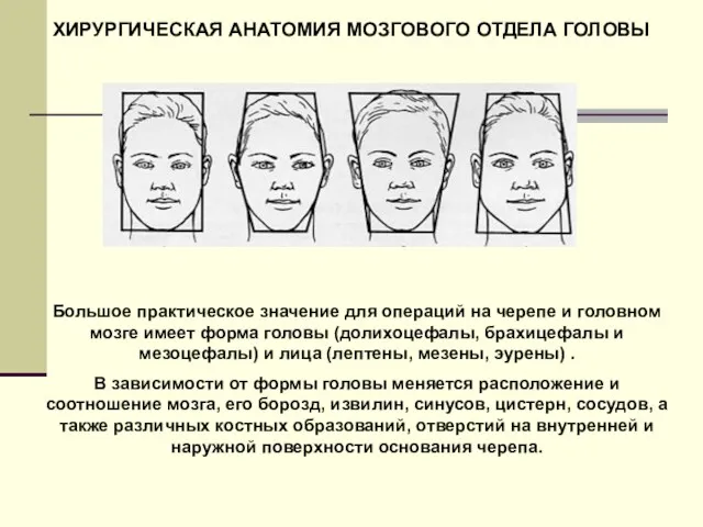 ХИРУРГИЧЕСКАЯ АНАТОМИЯ МОЗГОВОГО ОТДЕЛА ГОЛОВЫ Большое практическое значение для операций