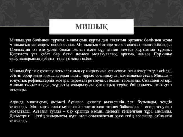 Мишық үш бөлімнен тұрады: мишықтың құрты деп аталатын ортаңғы бөлімнен