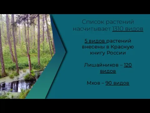 Список растений насчитывает 1310 видов 5 видов растений внесены в Красную книгу России