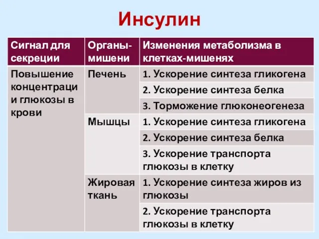 Инсулин