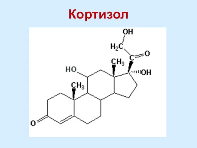 Кортизол