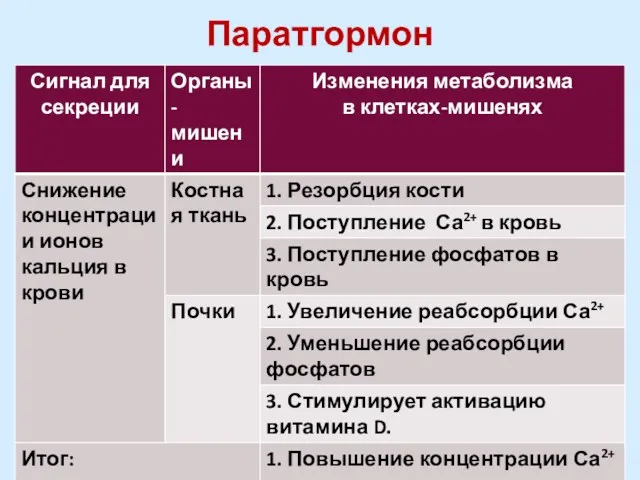 Паратгормон