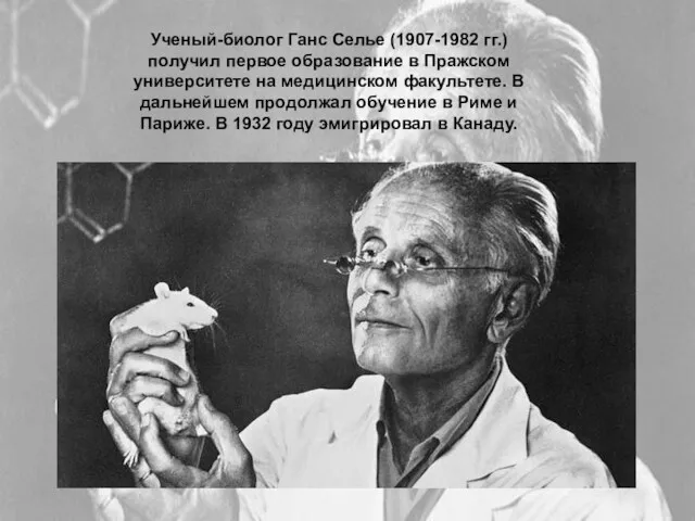 Ученый-биолог Ганс Селье (1907-1982 гг.) получил первое образование в Пражском