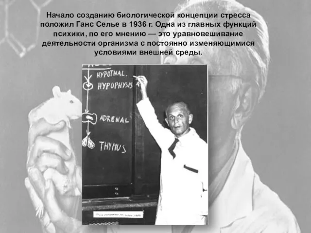 Начало созданию биологической концепции стресса положил Ганс Селье в 1936