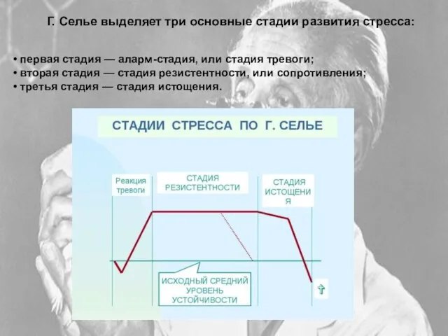 Г. Селье выделяет три основные стадии развития стресса: • первая