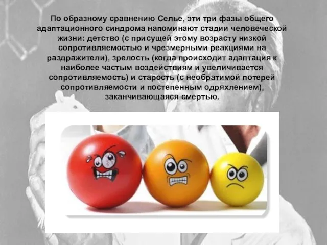 По образному сравнению Селье, эти три фазы общего адаптационного синдрома