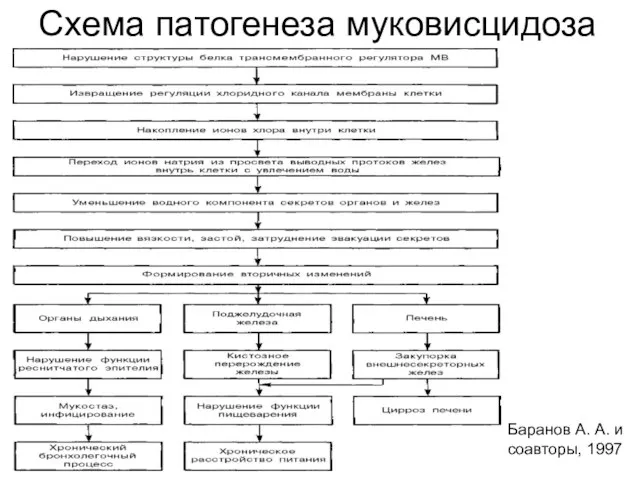 Схема патогенеза муковисцидоза Баранов А. А. и соавторы, 1997