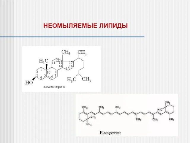 НЕОМЫЛЯЕМЫЕ ЛИПИДЫ