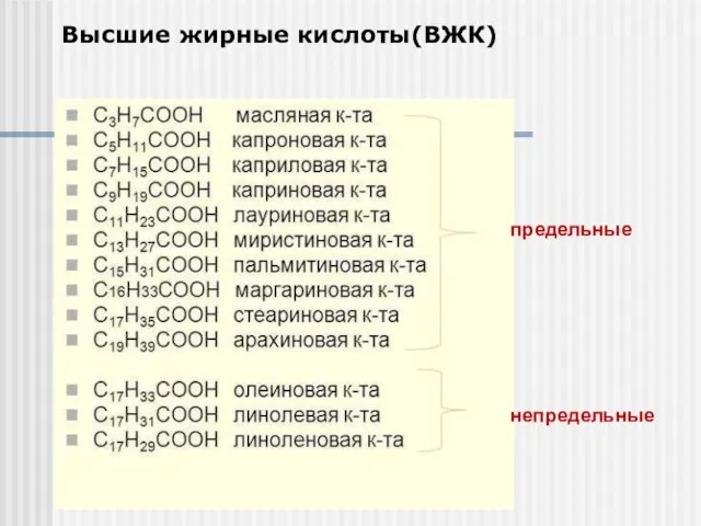 Высшие жирные кислоты(ВЖК) предельные непредельные