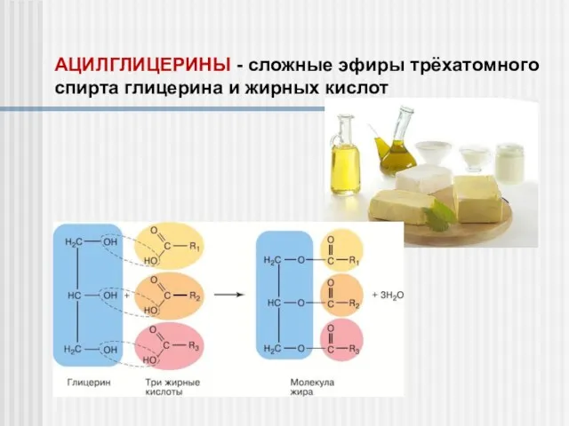 АЦИЛГЛИЦЕРИНЫ - сложные эфиры трёхатомного спирта глицерина и жирных кислот