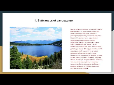 1. Байкальский заповедник Вокруг самого глубокого на нашей планете озера Байкал — одного