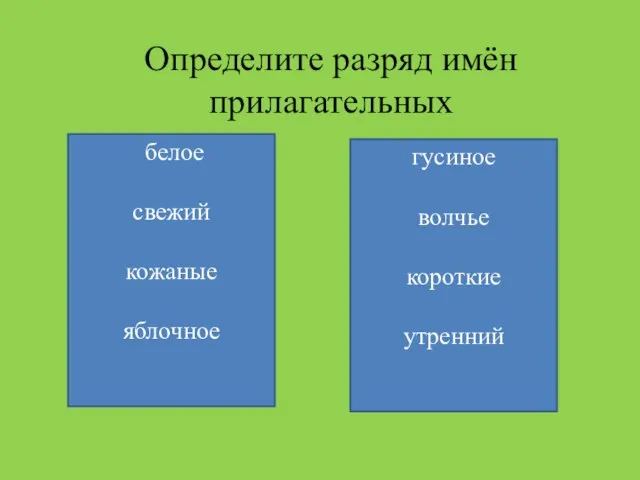 Определите разряд имён прилагательных белое свежий кожаные яблочное гусиное волчье короткие утренний