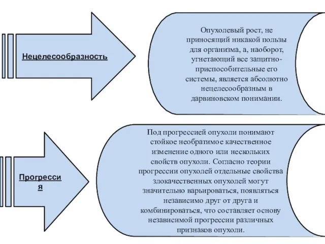 Нецелесообразность Прогрессия Опухолевый рост, не приносящий никакой пользы для организма,