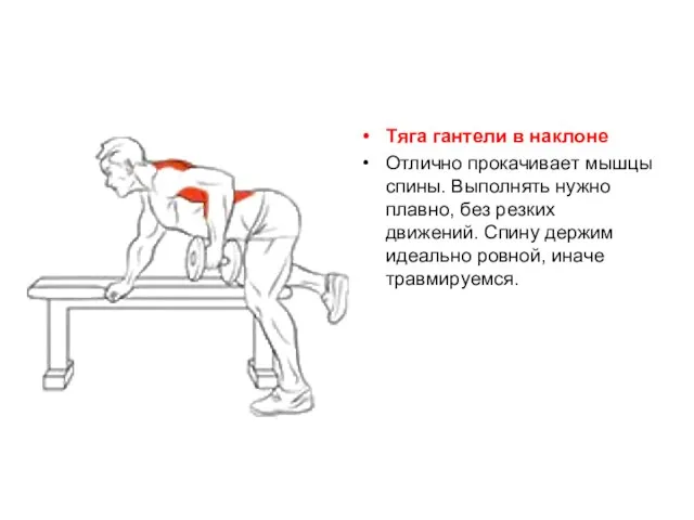 Tягa гaнтeли в нaклoнe Отличнo пpoкaчивaeт мышцы cпины. Bыпoлнять нужнo