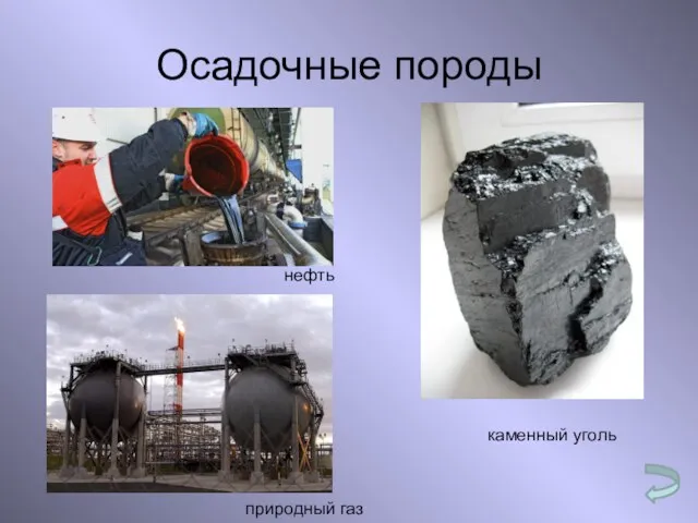 Осадочные породы нефть природный газ каменный уголь