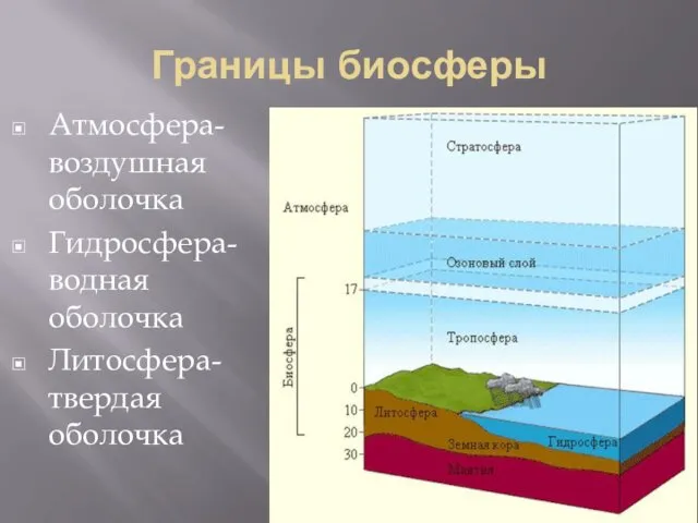 Границы биосферы Атмосфера-воздушная оболочка Гидросфера-водная оболочка Литосфера-твердая оболочка