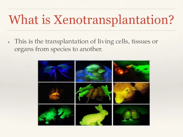 What is Xenotransplantation? This is the transplantation of living cells, tissues or organs