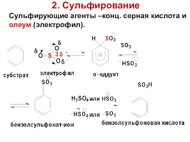 2. Сульфирование Сульфирующие агенты –конц. серная кислота и олеум (электрофил).