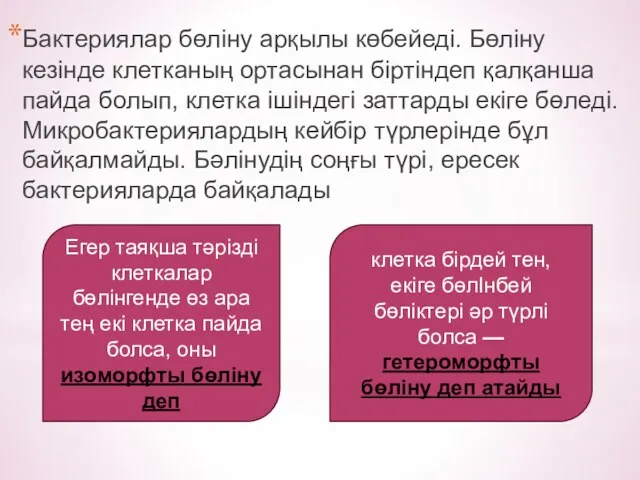 Бактериялар бөліну арқылы көбейеді. Бөліну кезінде клетканың ортасынан біртіндеп қалқанша