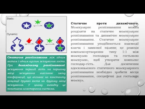 Статичне проти динамічного. Молекулярне розпізнавання можна розділити на статичне молекулярне