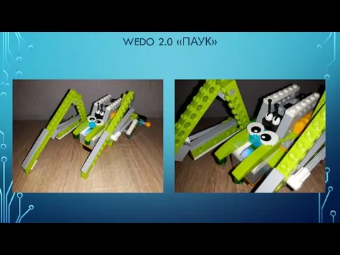 WEDO 2.0 «ПАУК»