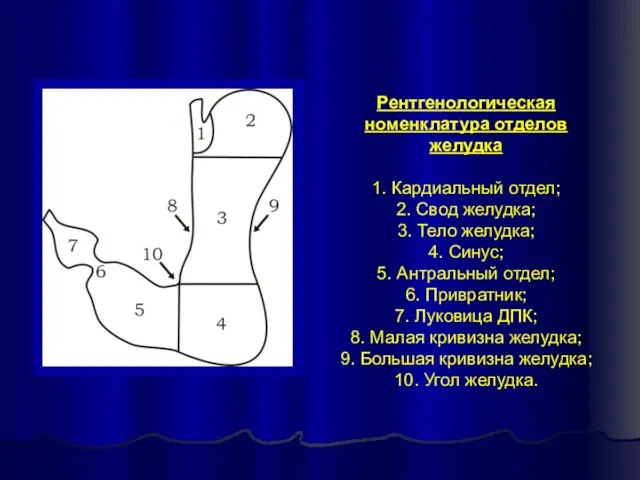 Рентгенологическая номенклатура отделов желудка 1. Кардиальный отдел; 2. Свод желудка;