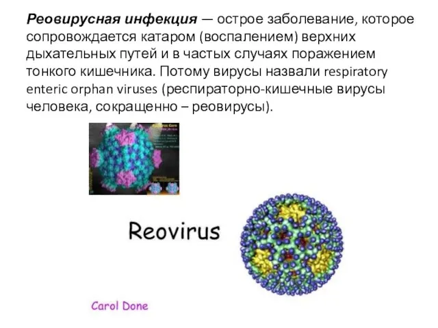 Реовирусная инфекция — острое заболевание, которое сопровождается катаром (воспалением) верхних