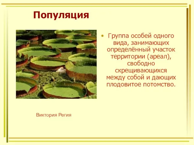 Популяция Группа особей одного вида, занимающих определённый участок территории (ареал),