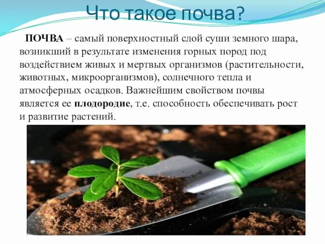 Что такое почва? ПОЧВА – самый поверхностный слой суши земного