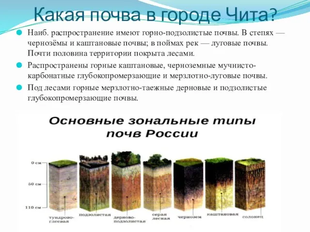 Какая почва в городе Чита? Наиб. распространение имеют горно-подзолистые почвы.