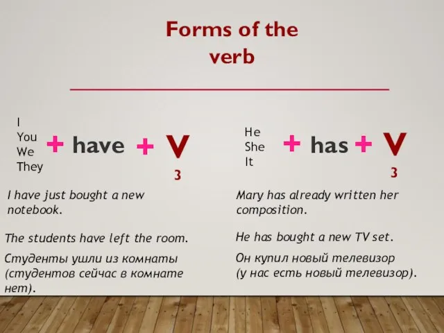 Forms of the verb I You We They + have