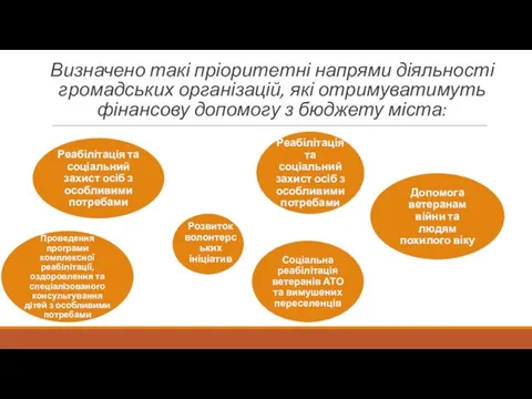 Визначено такі пріоритетні напрями діяльності громадських організацій, які отримуватимуть фінансову допомогу з бюджету міста: