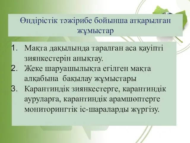 Өндірістік тәжірибе бойынша атқарылған жұмыстар Мақта дақылында таралған аса қауіпті