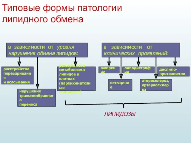 Типовые формы патологии липидного обмена