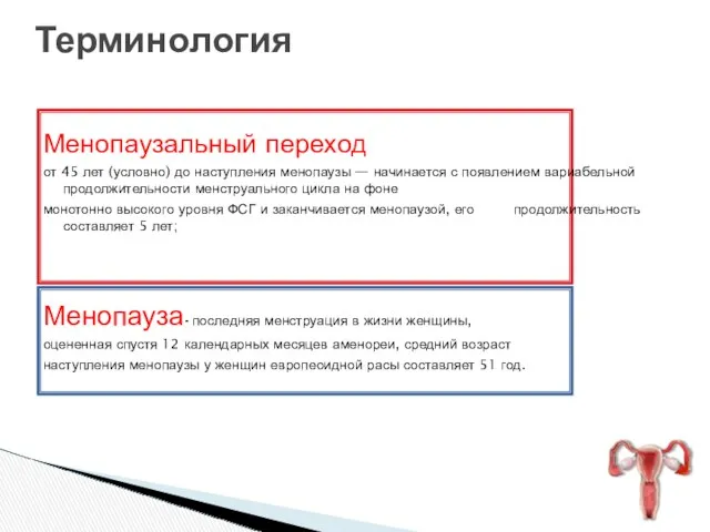 Терминология Менопаузальный переход от 45 лет (условно) до наступления менопаузы