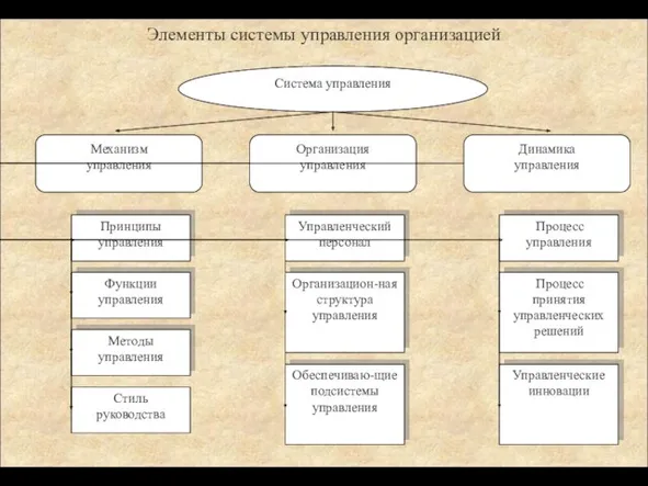 Элементы системы управления организацией