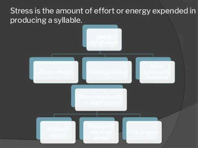 Stress is the amount of effort or energy expended in producing a syllable.