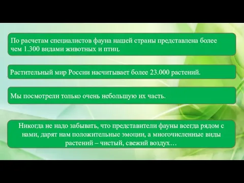 По расчетам специалистов фауна нашей страны представлена более чем 1.300