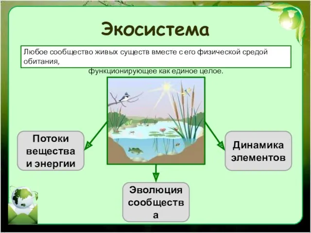 Экосистема Любое сообщество живых существ вместе с его физической средой