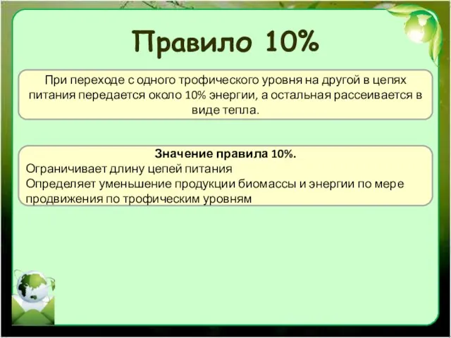 Правило 10% При переходе с одного трофического уровня на другой