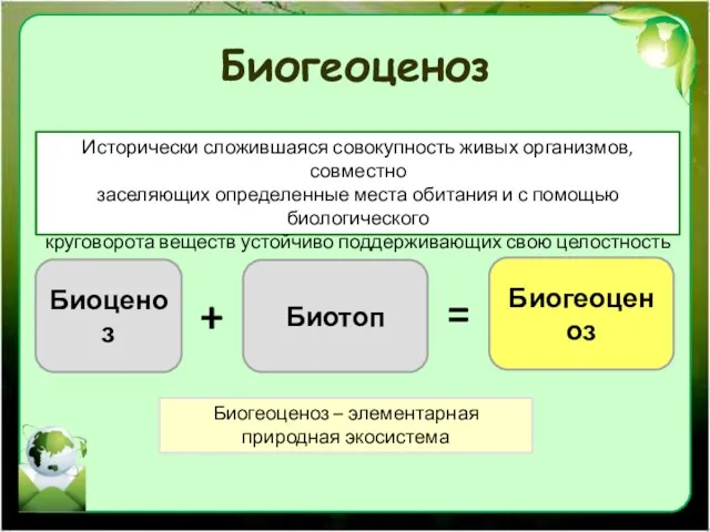 Биогеоценоз Исторически сложившаяся совокупность живых организмов, совместно заселяющих определенные места