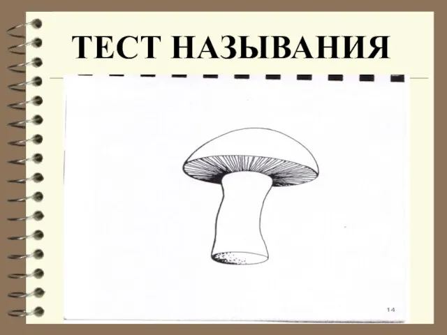 ТЕСТ НАЗЫВАНИЯ