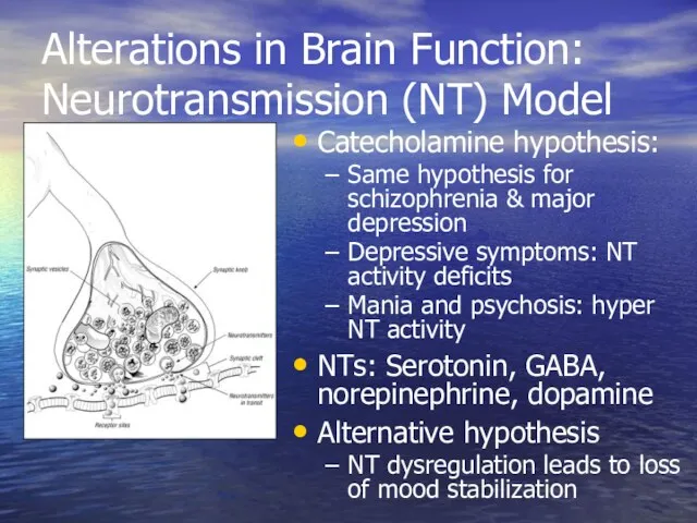 Alterations in Brain Function: Neurotransmission (NT) Model Catecholamine hypothesis: Same